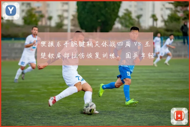 樊振东手腕腱鞘炎休战四周 vs 王楚钦肩部拉伤恢复训练，国乒年轻核心伤病管理对比